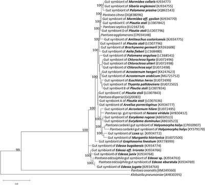 Disruption of Host-Symbiont Associations for the Symbiotic Control and Management of Pentatomid Agricultural Pests—A Review